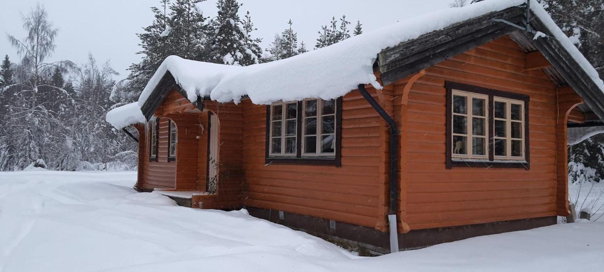 B&B Camp Aengra Lassekrog Dış mekan fotoğraf